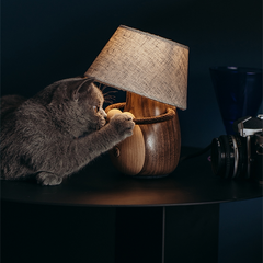 Cute Solid Wood Bedside Lamp