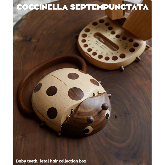Handcrafted Ladybug Baby Teeth & Fetal Hair Keepsake Box